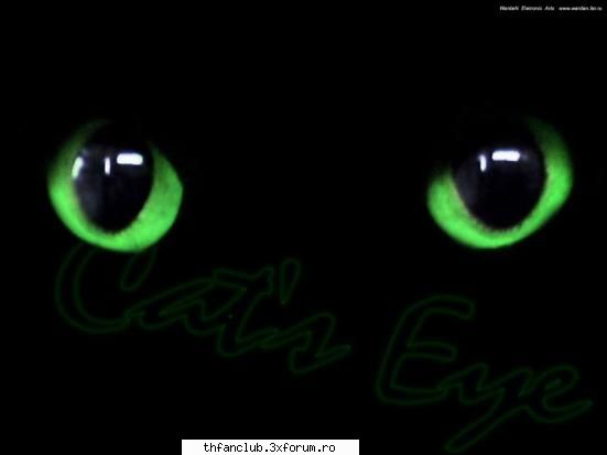 band hystory taree - inseman k v-au plakut kestiile alea mua - .::Tokio Hotel::.